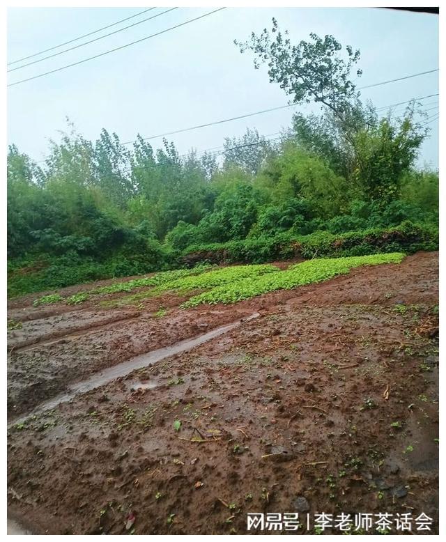菱冰箱就是好我和老公都非常喜欢尊龙凯时app我家刚买的这款美(图4)