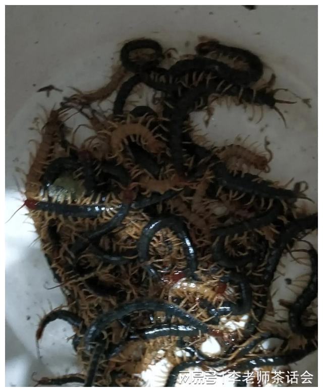 菱冰箱就是好我和老公都非常喜欢尊龙凯时app我家刚买的这款美(图3)