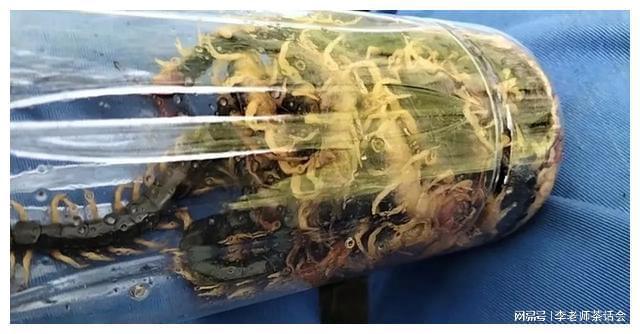 菱冰箱就是好我和老公都非常喜欢尊龙凯时app我家刚买的这款美(图6)