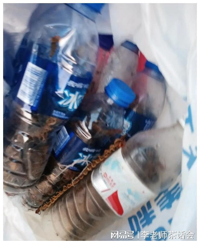 菱冰箱就是好我和老公都非常喜欢尊龙凯时app我家刚买的这款美(图7)