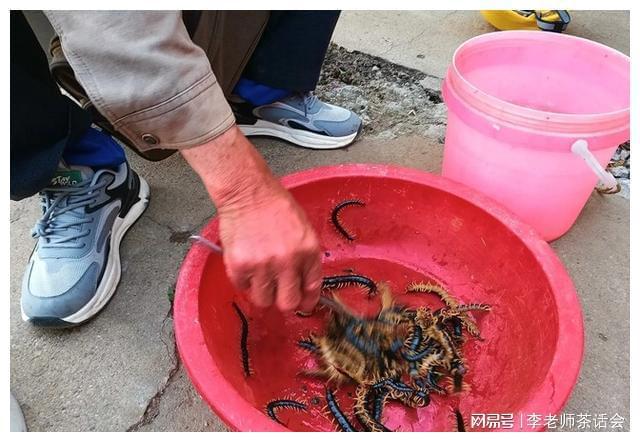 菱冰箱就是好我和老公都非常喜欢尊龙凯时app我家刚买的这款美(图9)