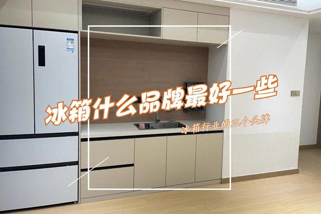 ？售后师傅道出实情：首选这3个行业头牌尊龙凯时app买冰箱选什么品牌好一些(图3)